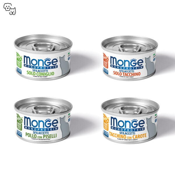 Monge Monoprotein Flakes Wet Cat Food – Turkey with Carrots 80g